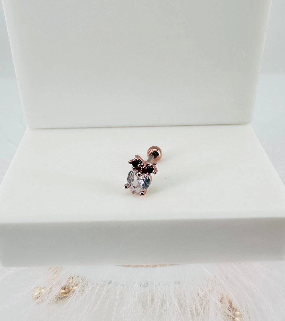 Tragus Kıkırdak Küpesi
