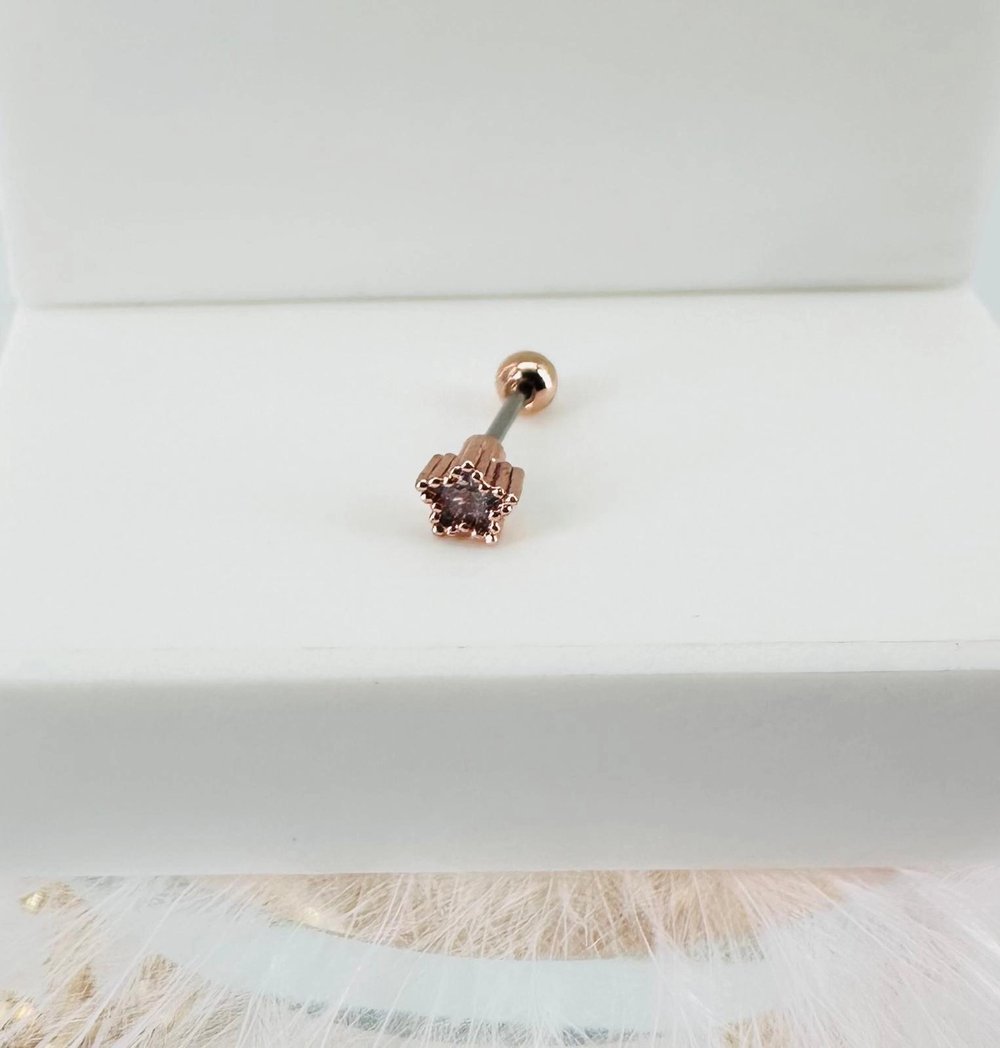 Tragus Kıkırdak Küpesi