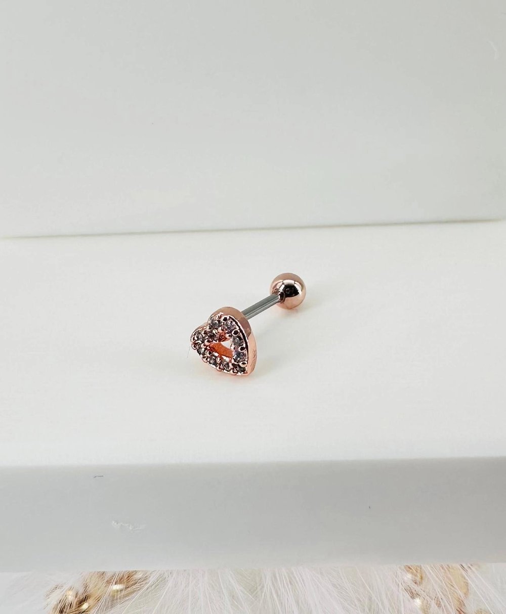 Tragus Kıkırdak Küpesi