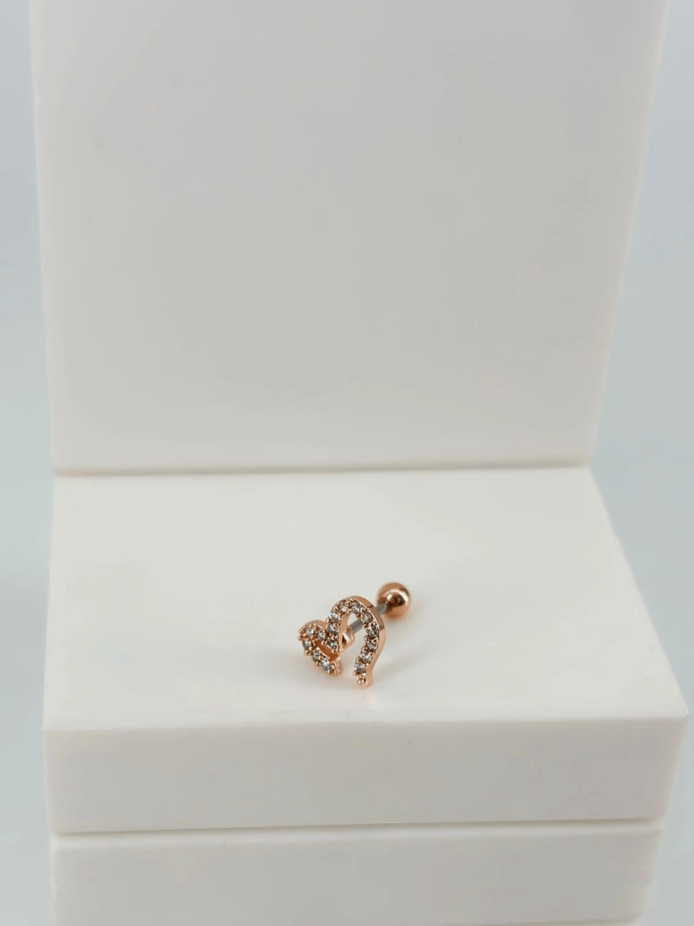 Tragus Kıkırdak Küpesi