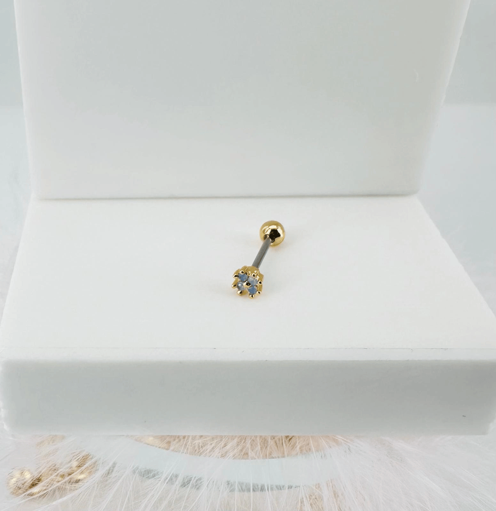 Tragus Kıkırdak Küpesi