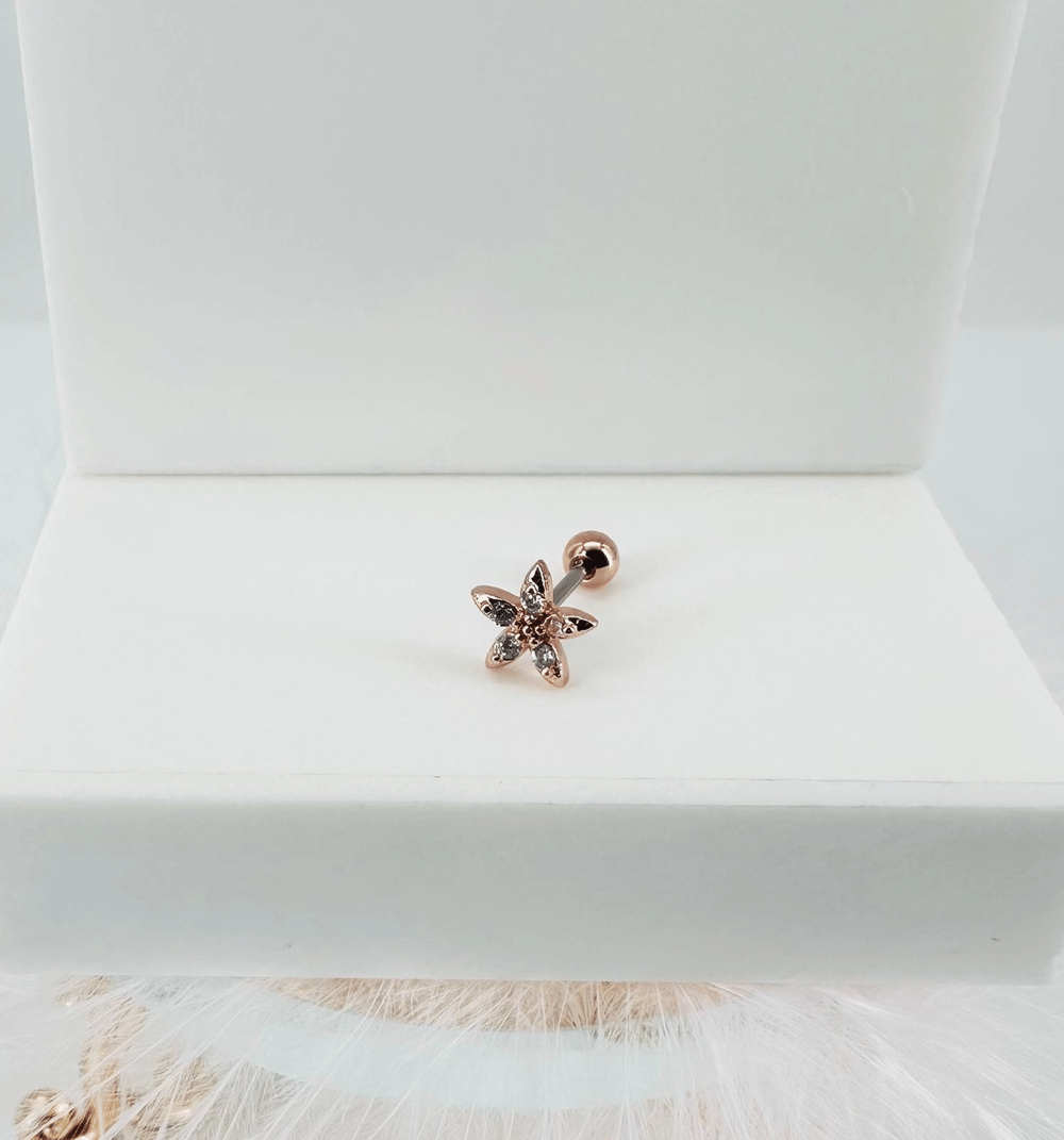 Tragus Kıkırdak Küpesi