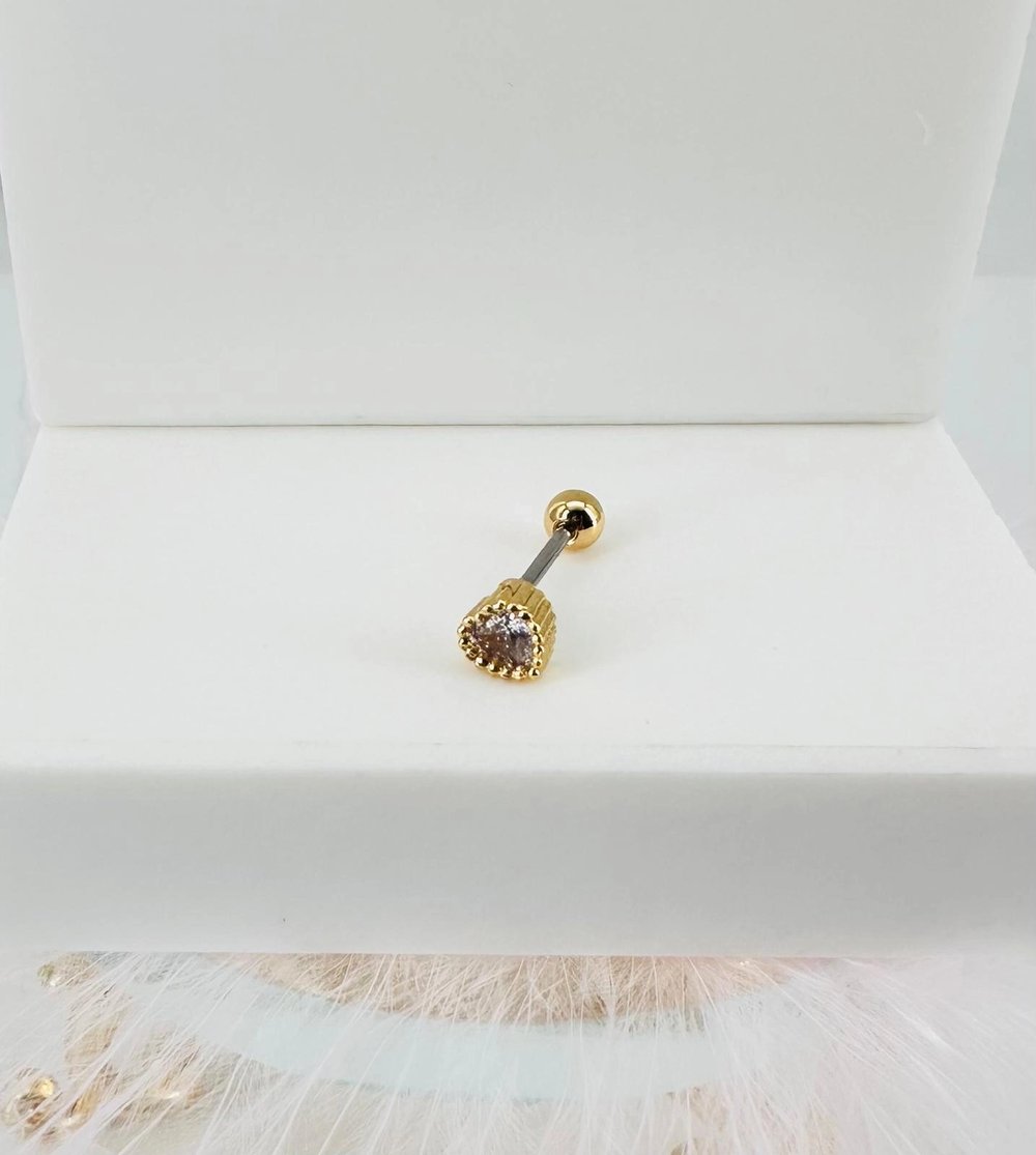 Tragus Kıkırdak Küpesi