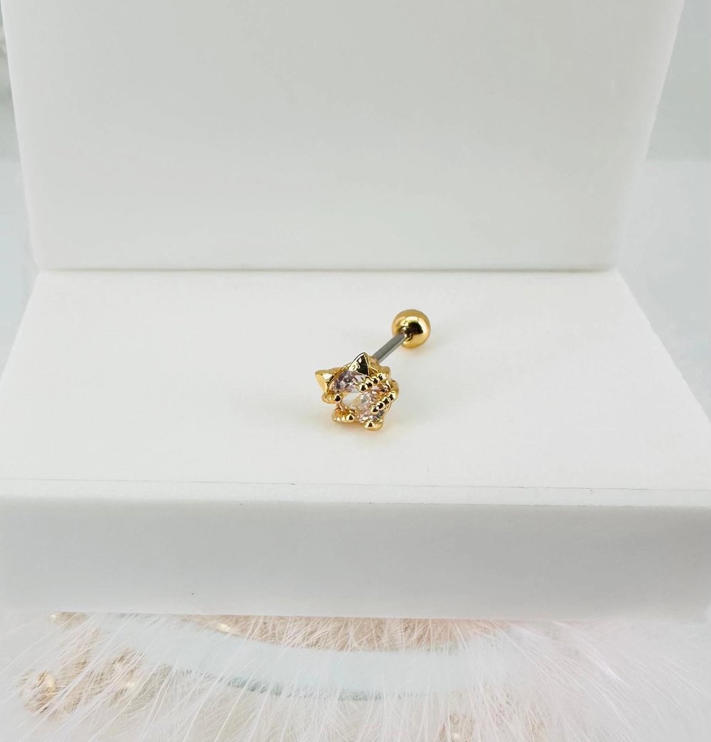 Tragus Kıkırdak Küpesi