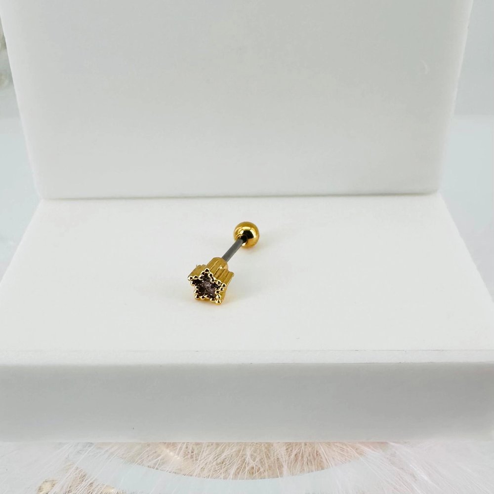 Tragus Kıkırdak Küpesi