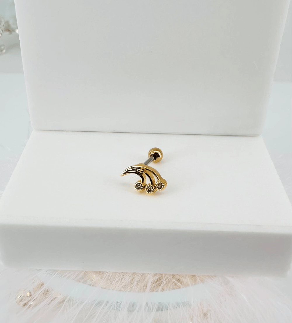 Tragus Kıkırdak Küpesi