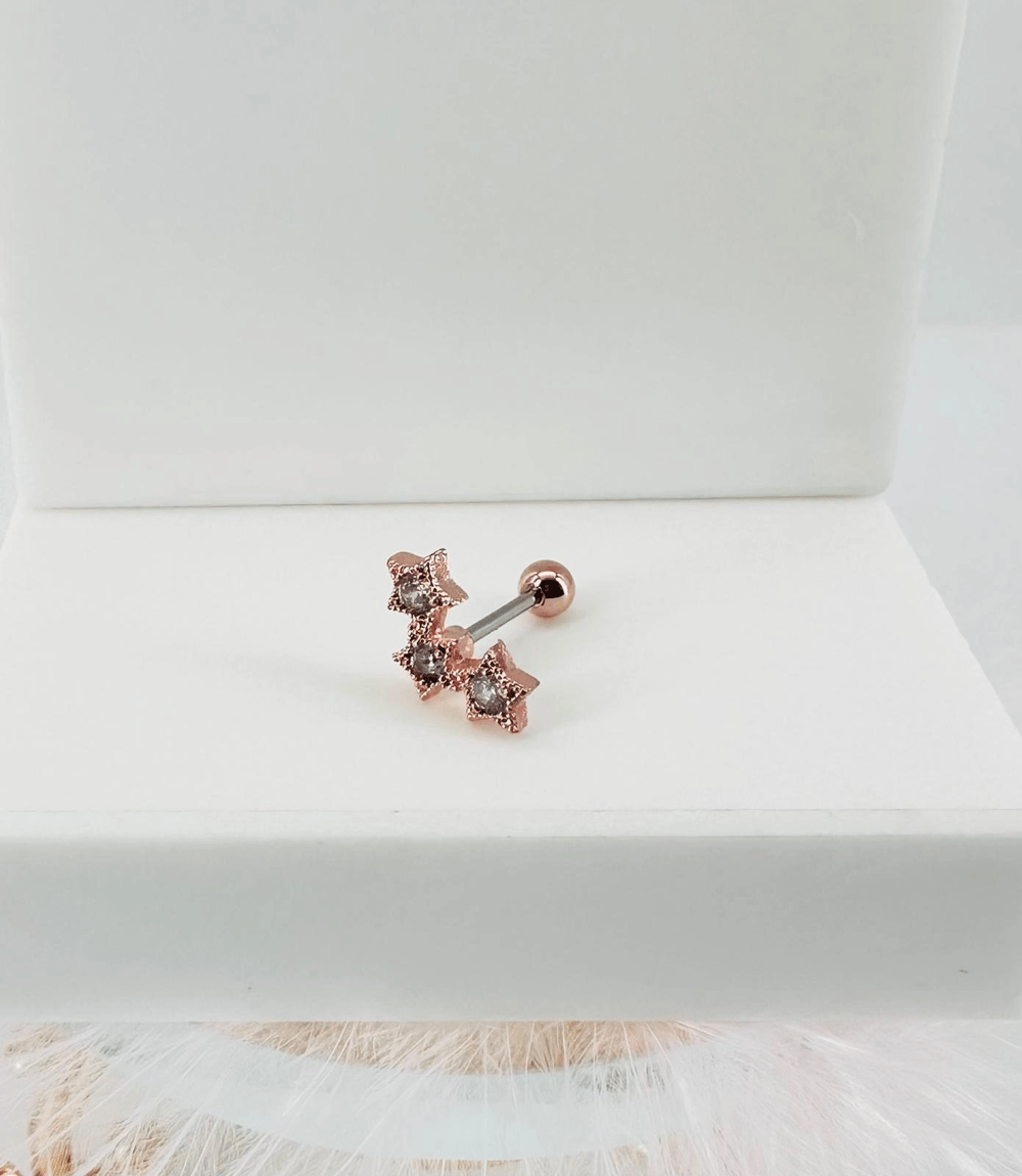 Tragus Kıkırdak Küpesi