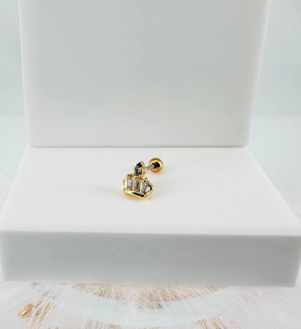 Tragus Kıkırdak Küpesi