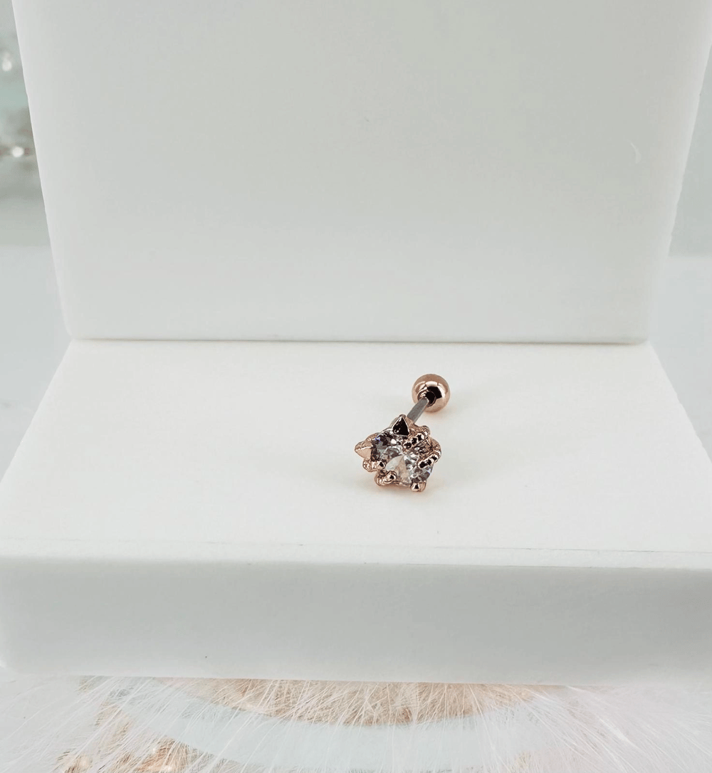 Tragus Kıkırdak Küpesi