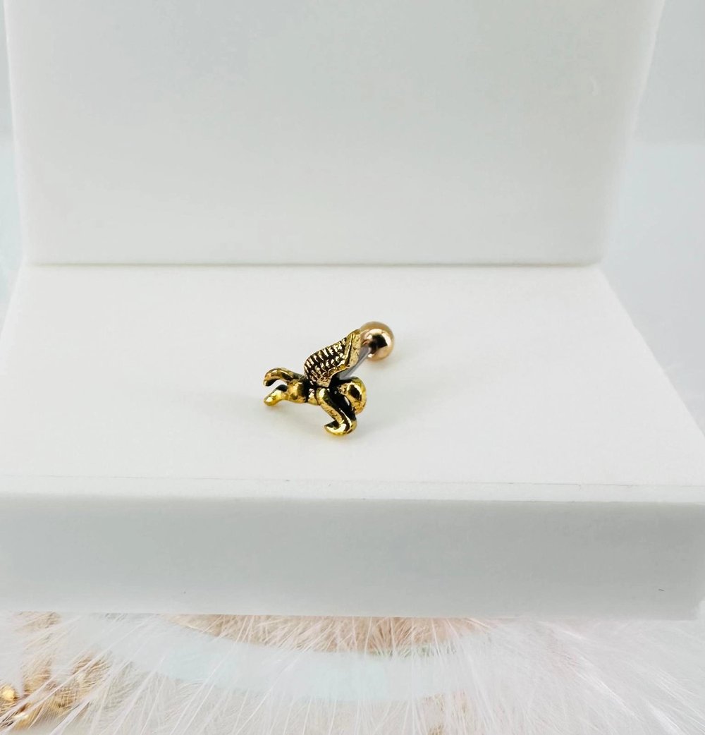Tragus Kıkırdak Küpesi