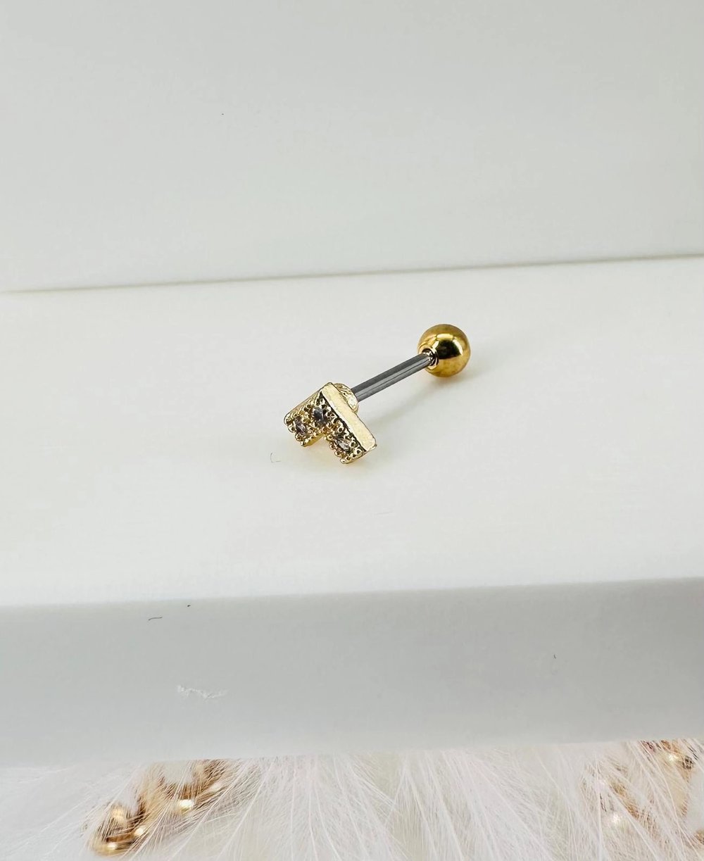 Tragus Kıkırdak Küpesi