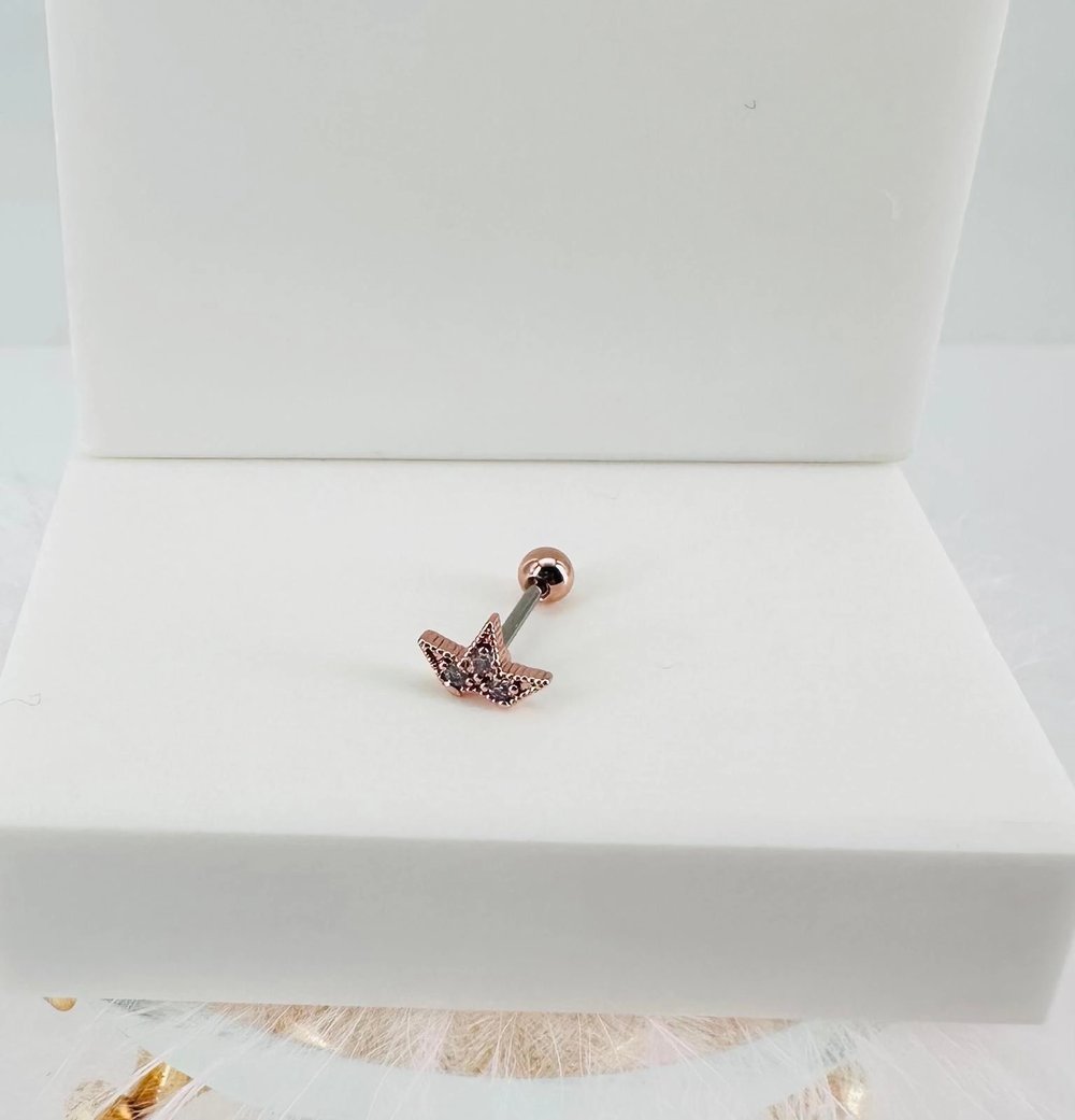 Tragus Kıkırdak Küpesi