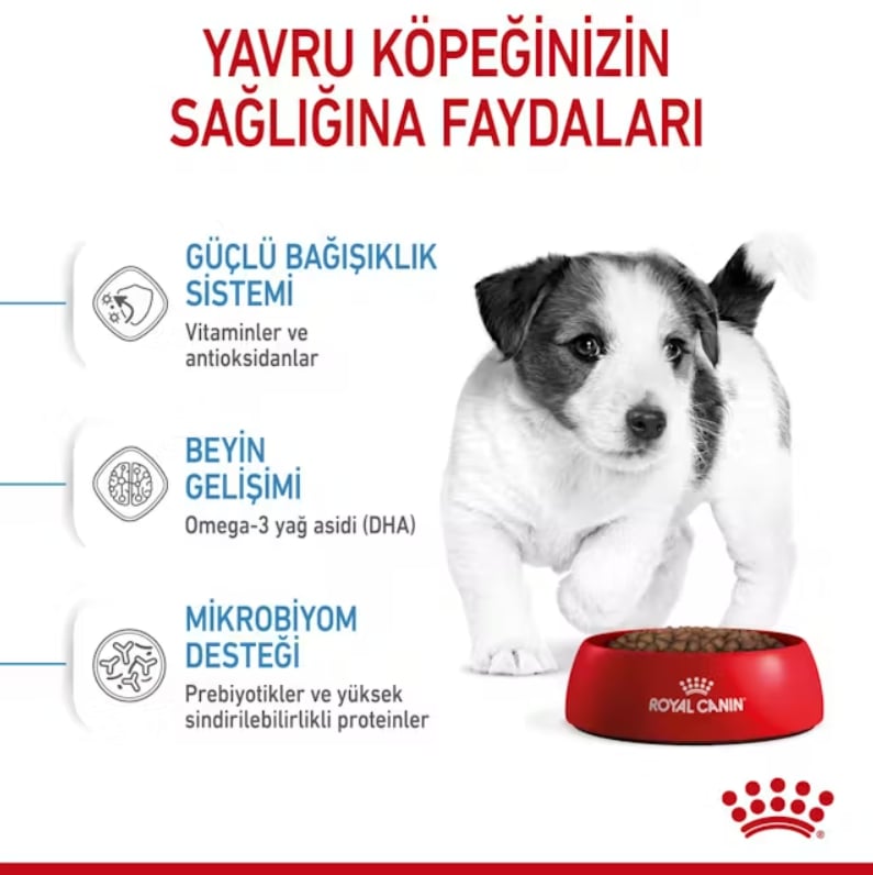 Royal Canin Mini Puppy Yavru Köpek Kuru Maması