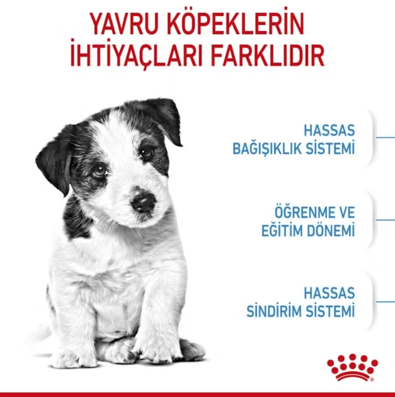Royal Canin Mini Puppy Yavru Köpek Kuru Maması