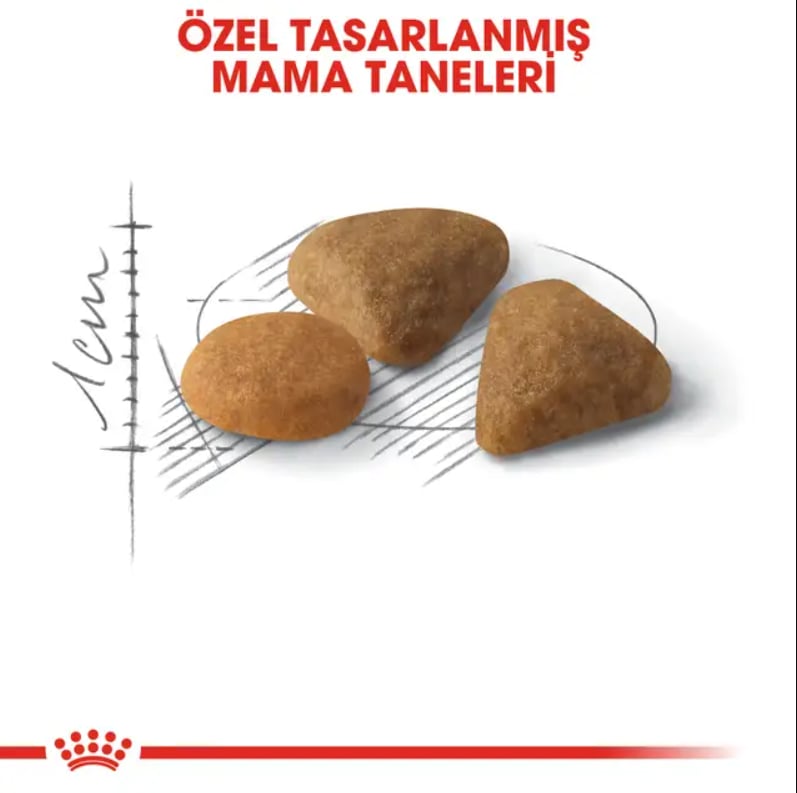 Royal Canin Savour Exigent Yetişkin Kedi Kuru Maması