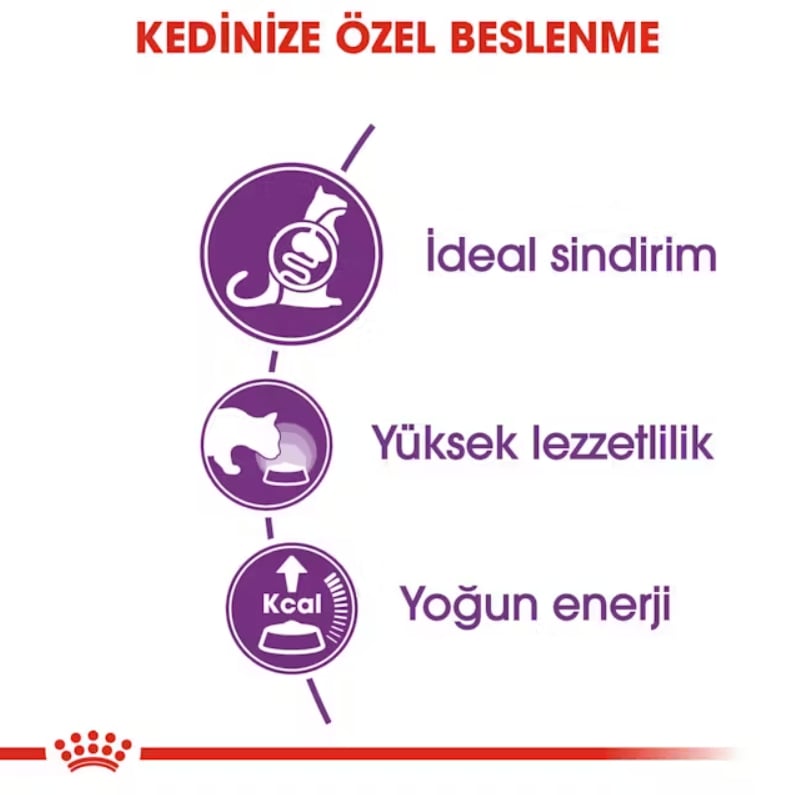 Royal Canin Sensible 33 Yetişkin Kedi Kuru Maması