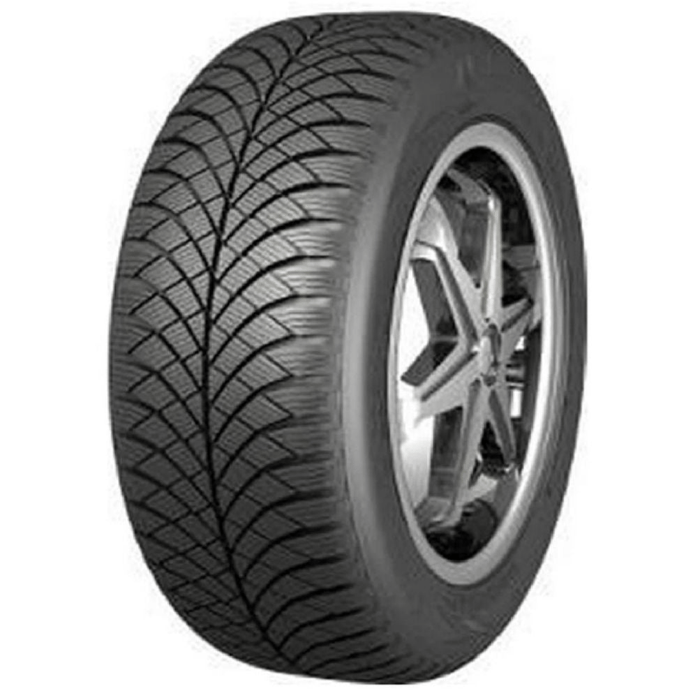 Nankang AW-6 195/65R15 95V XL