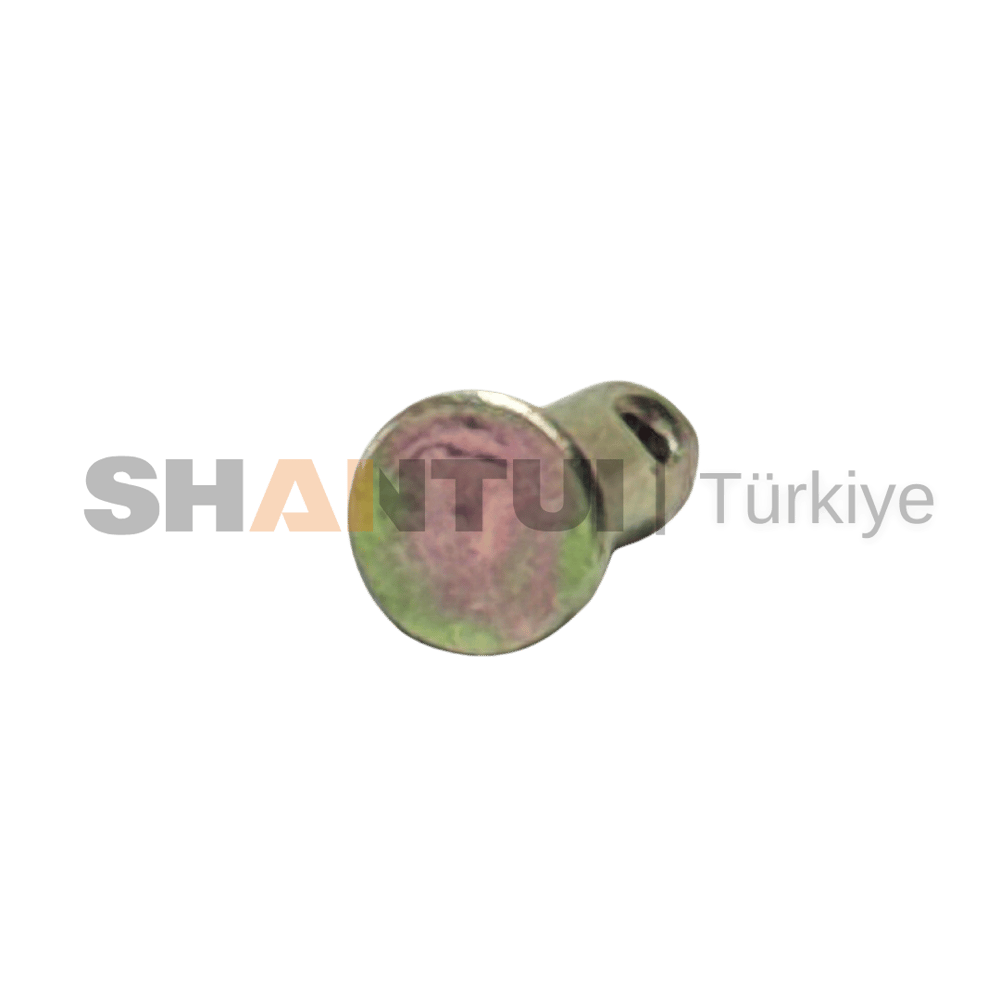 PIN