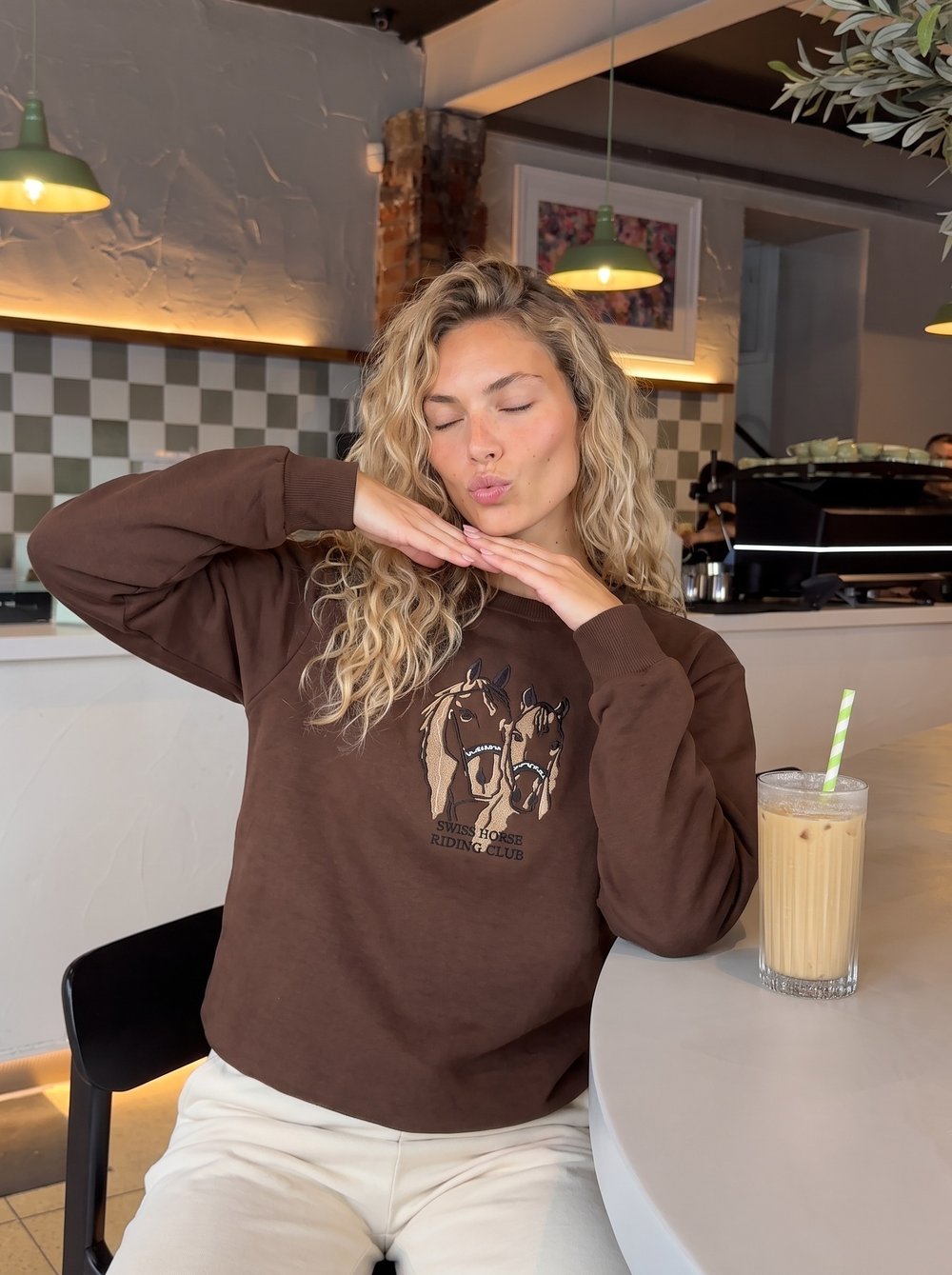 Kahverengi Nakışlı Üç İplik Sweatshirt