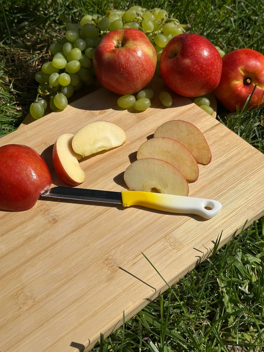 Solingen Ebruli Sarı Tırtıklı Meyve Bıçağı – 18,5 cm, Paslanmaz Alman Çeliği, Ergonomik Sap (Tekli)