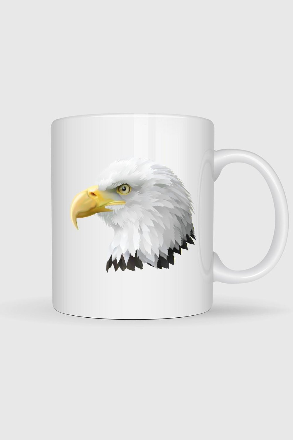 -bald-eagle-american-eagle-head-tasari-6-4f48.jpg