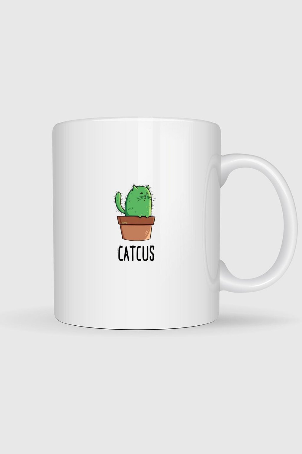-catcus-kaktus-kedi-baskili-kupa-barda-7dd142.jpg