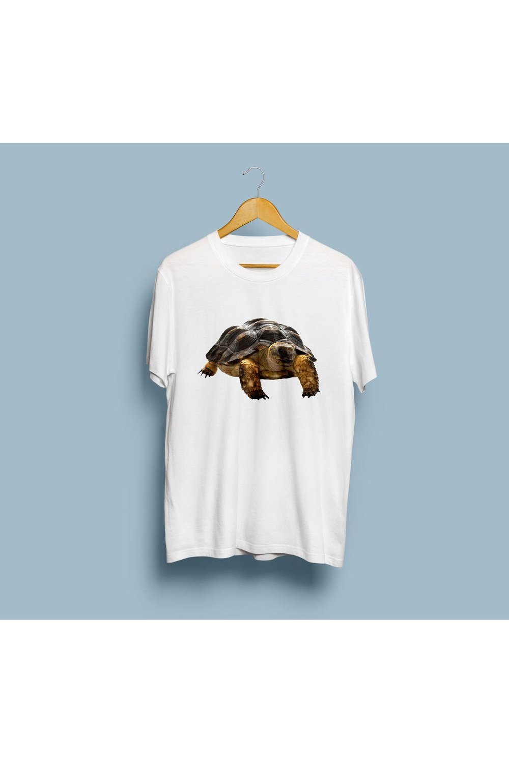 oversize-kaplumbaga-tasarim-unisex-t-s-25f0ed.jpg