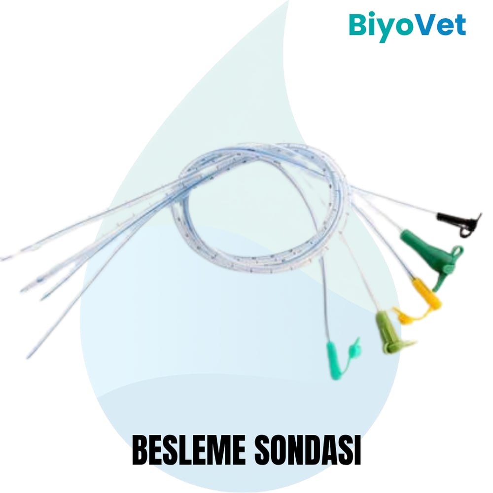 BESLEME SONDASI