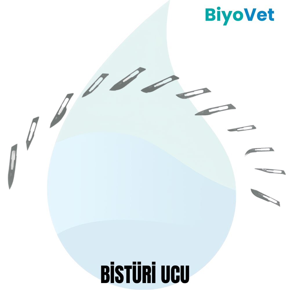 BİSTÜRİ UCU
