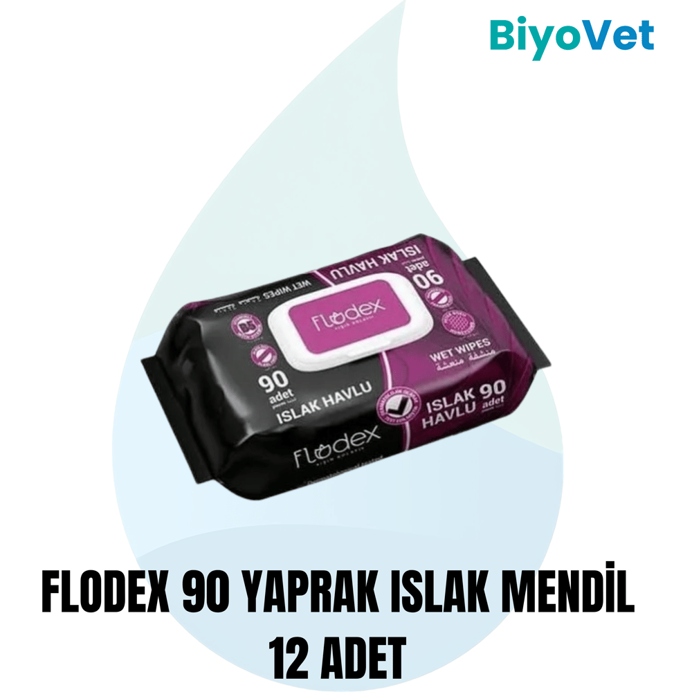 FLODEX ISLAK MENDİL 90'lı*12 ADET