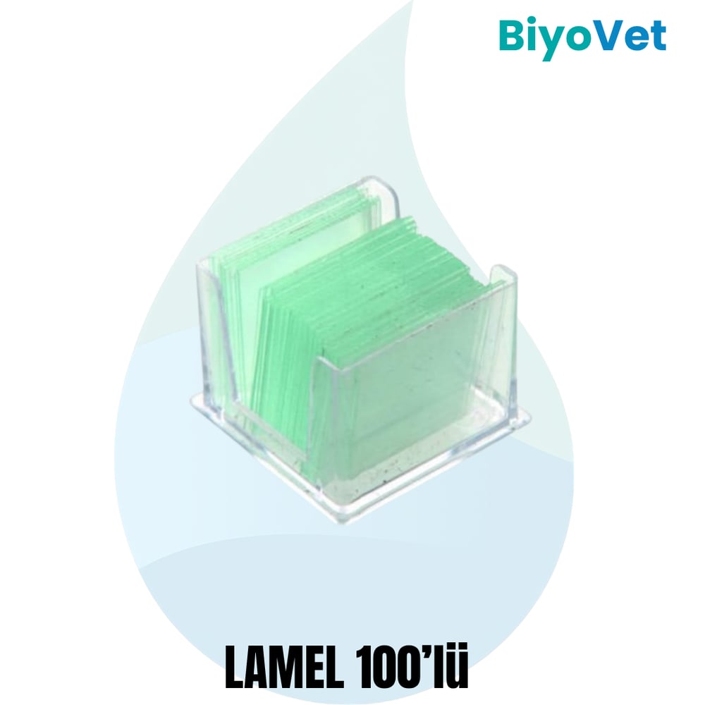 LAMEL 100'LÜ
