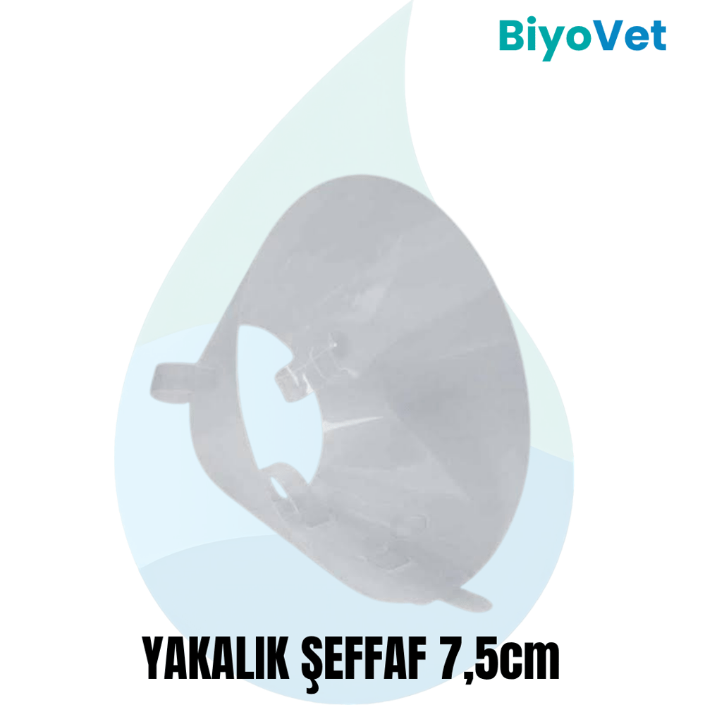 YAKALIK ŞEFFAF 7,5 cm