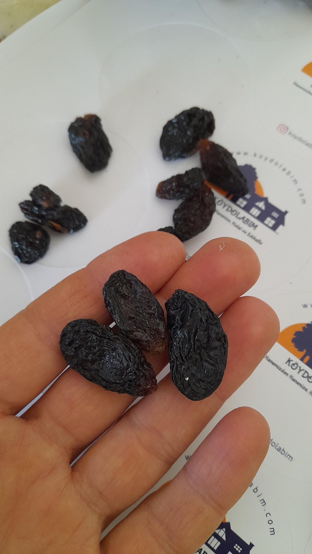 KURU ÜZÜM ÇEKİRDEKLİ ANTEP KARASI