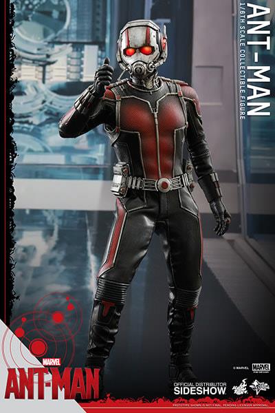 Ant-Man - Ant-Man 1/6 Scale Koleksiyon Figürü