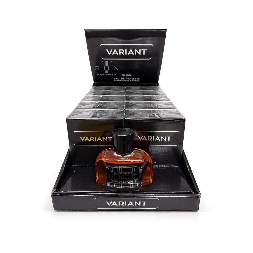 GABRİNİ EDT VARIANT 100ML*12