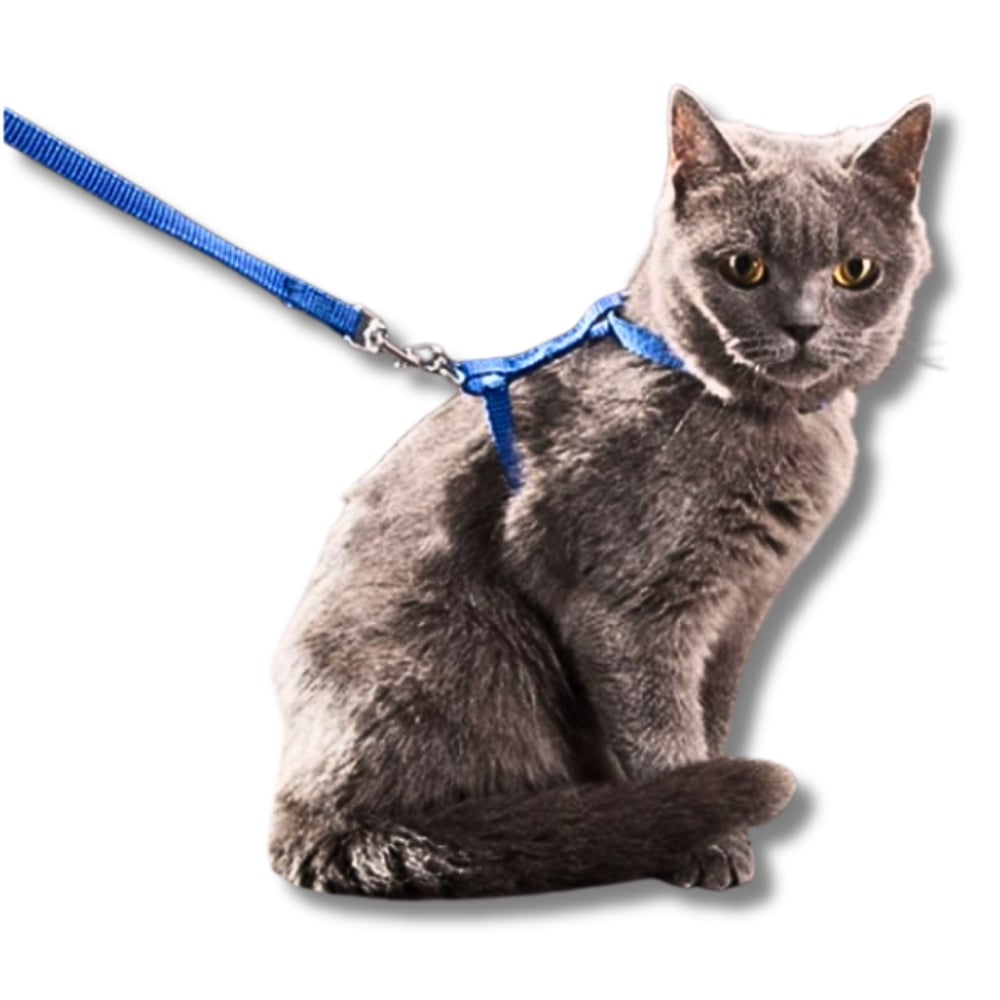Kedi Gezdirme Tasması