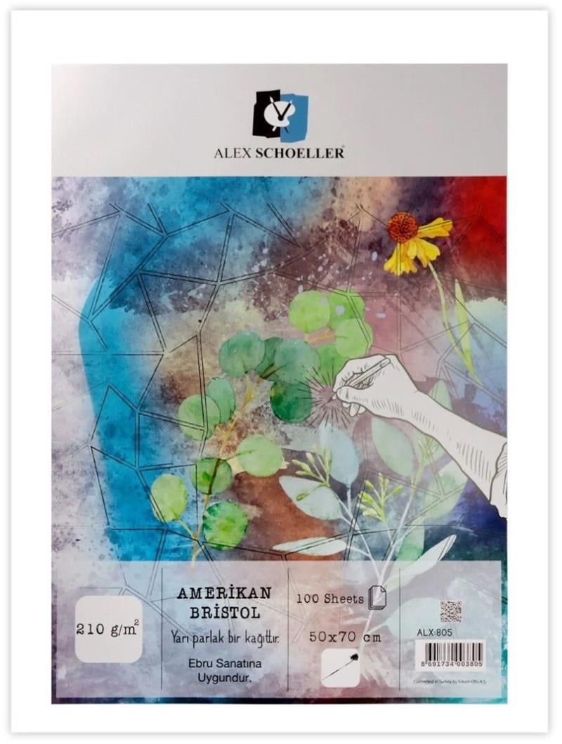 Alex Schoeller Amerikan Bristol Kağıdı 210gr 50x70cm 100!lü Paket