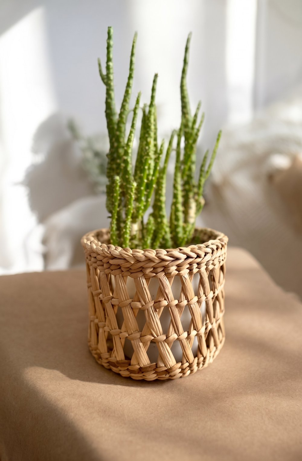 Bohem Hasır Bitkisel Saksı / Çiçeklik / Dekorasyon 10cm (Kulpsuz)