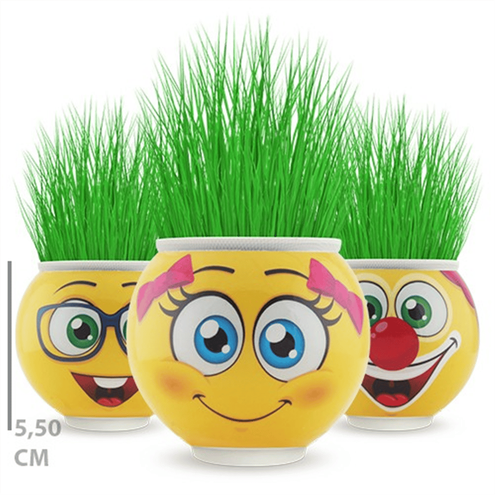 ÇİMOJİ YUVARLAK ÇİM ADAM 24 LÜ PK