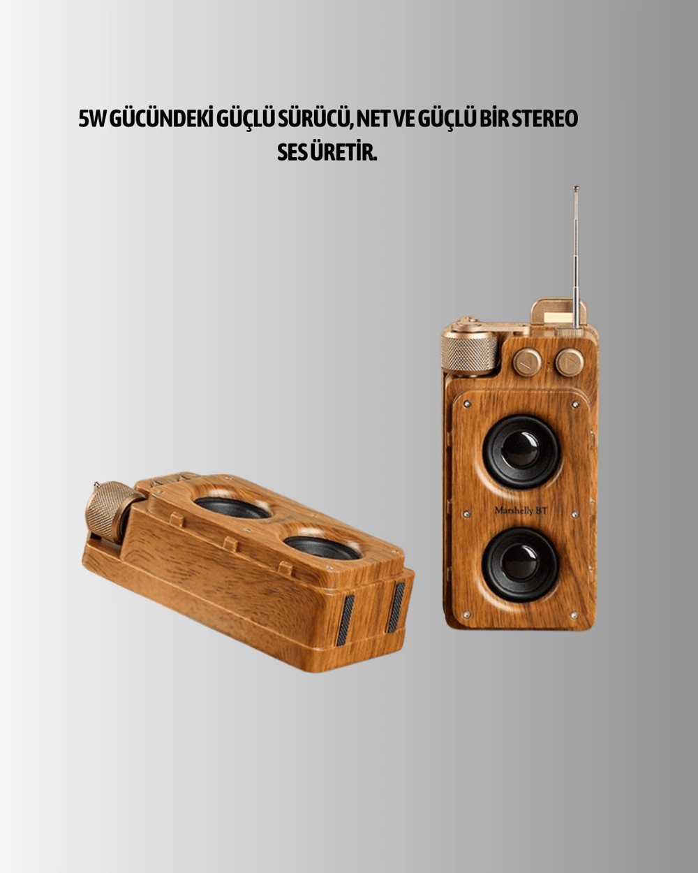 Klasik Görünümlü Bluetooth Hoparlör 360 Derece Stereo ve FM Radyo