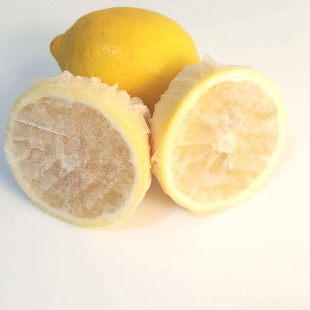 Limon Bonesi / 100 Adet / Bitki Çayı Bonesi