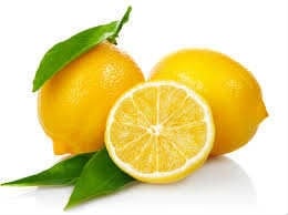 Limon Bonesi / 100 Adet / Bitki Çayı Bonesi