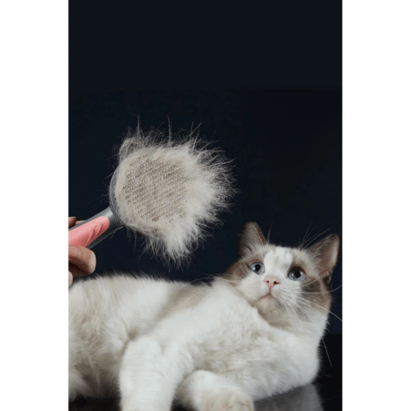 Otomatik Tuşlu Kendini Temizleyen Kedi Köpek Tarağı