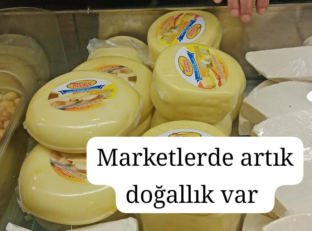 KAŞAR