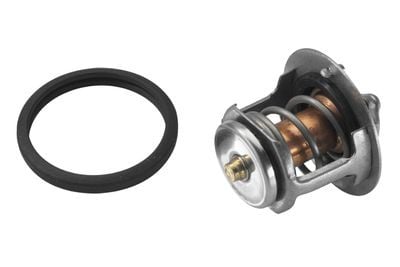 TERMOSTAT 76C NISSAN-MAZDA 54.5x31.5x28 TERS KUPILYA KAUÇUK KLAPE
