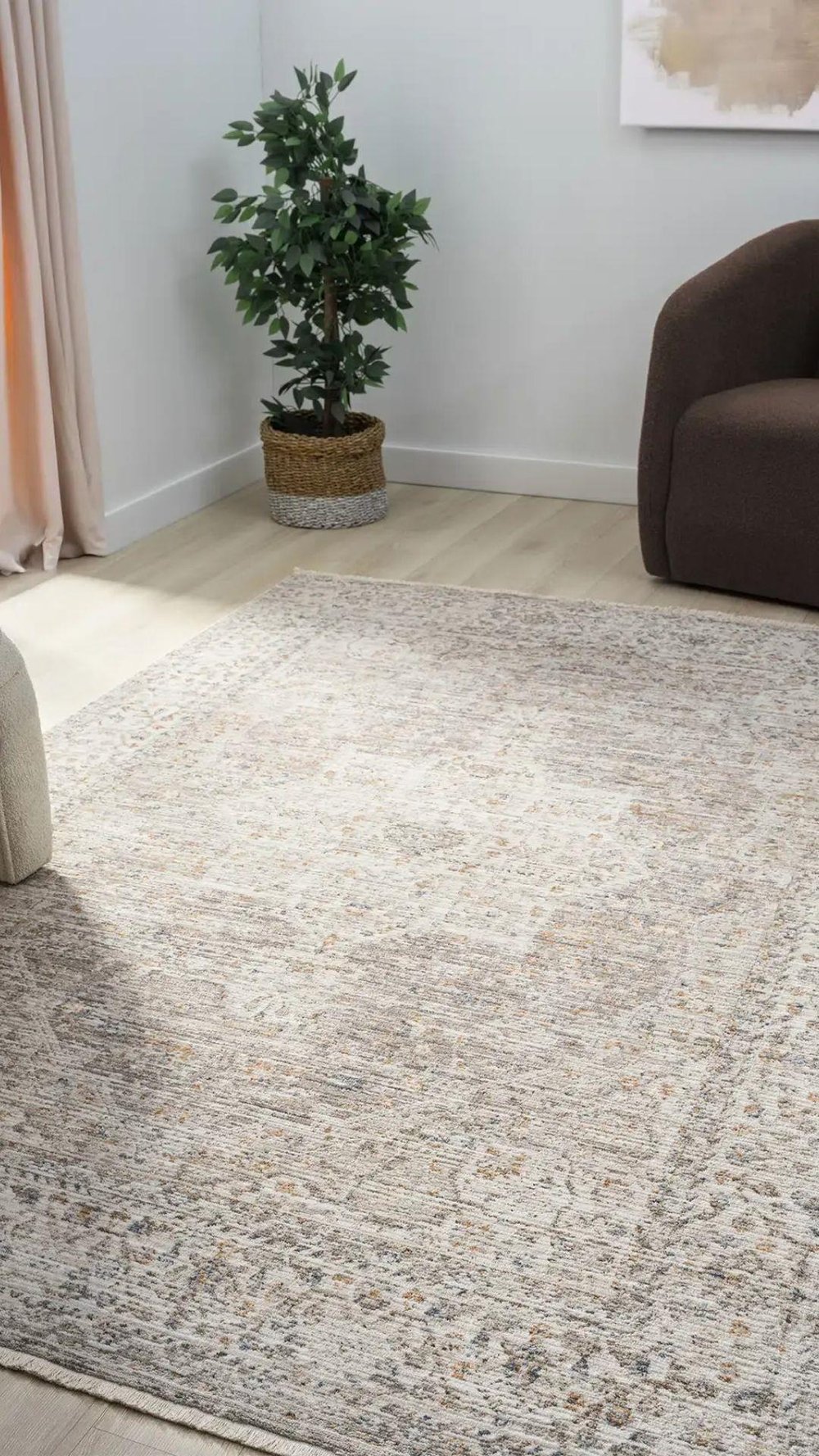 By Özer Halı Bej Renk Polyester Çerçeveli Yumuşak Doku Yüksek Kaliteli Seyran Halı Peru 10204 Salon Halısı