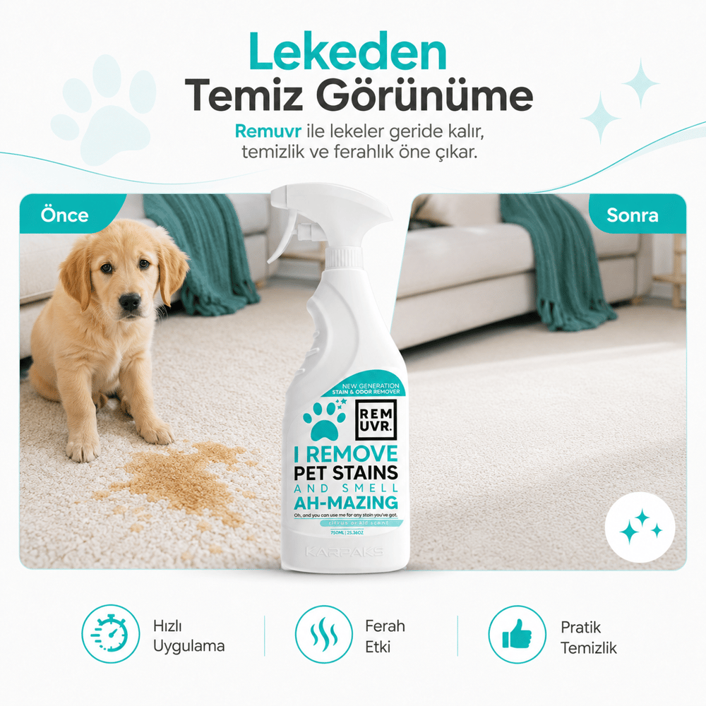 Evcil Hayvan Leke ve Koku Giderici Sprey 750 ml Kedi Köpek İdrar Lekesi Temizleyici