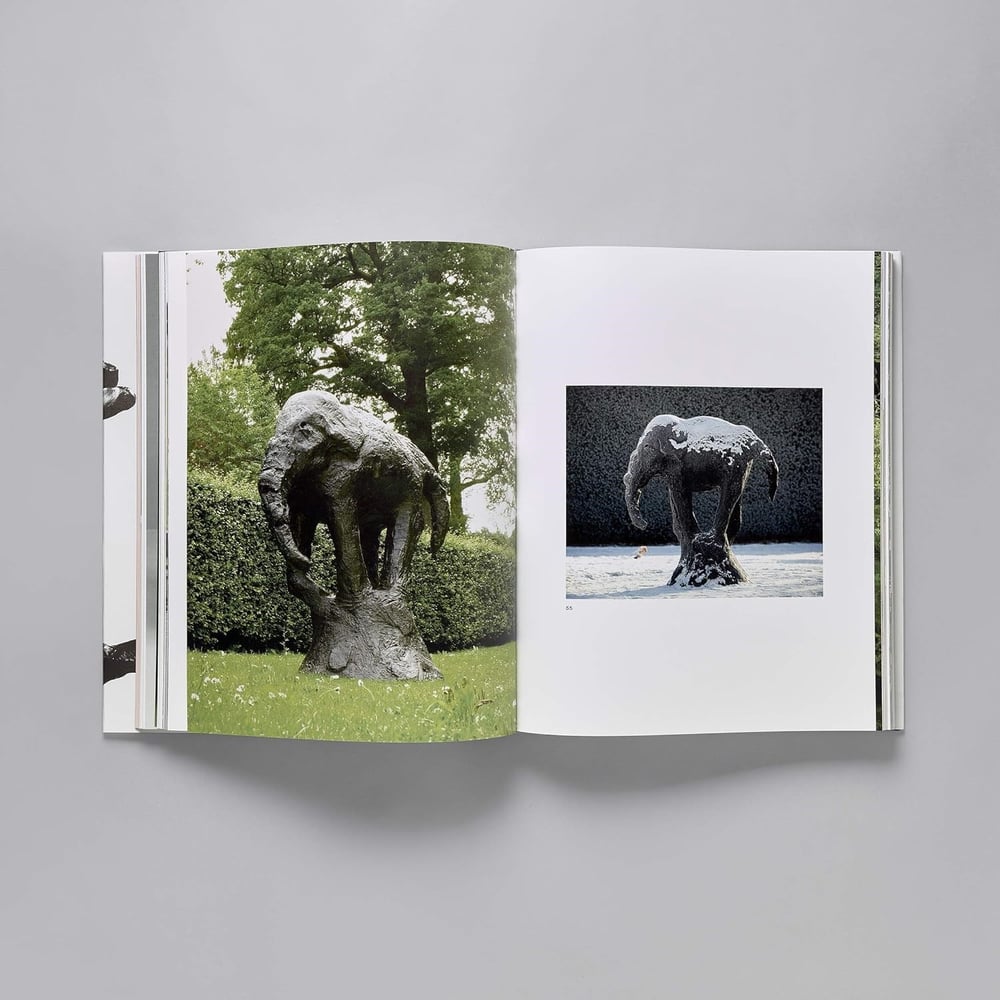 Barry Flanagan Kitap