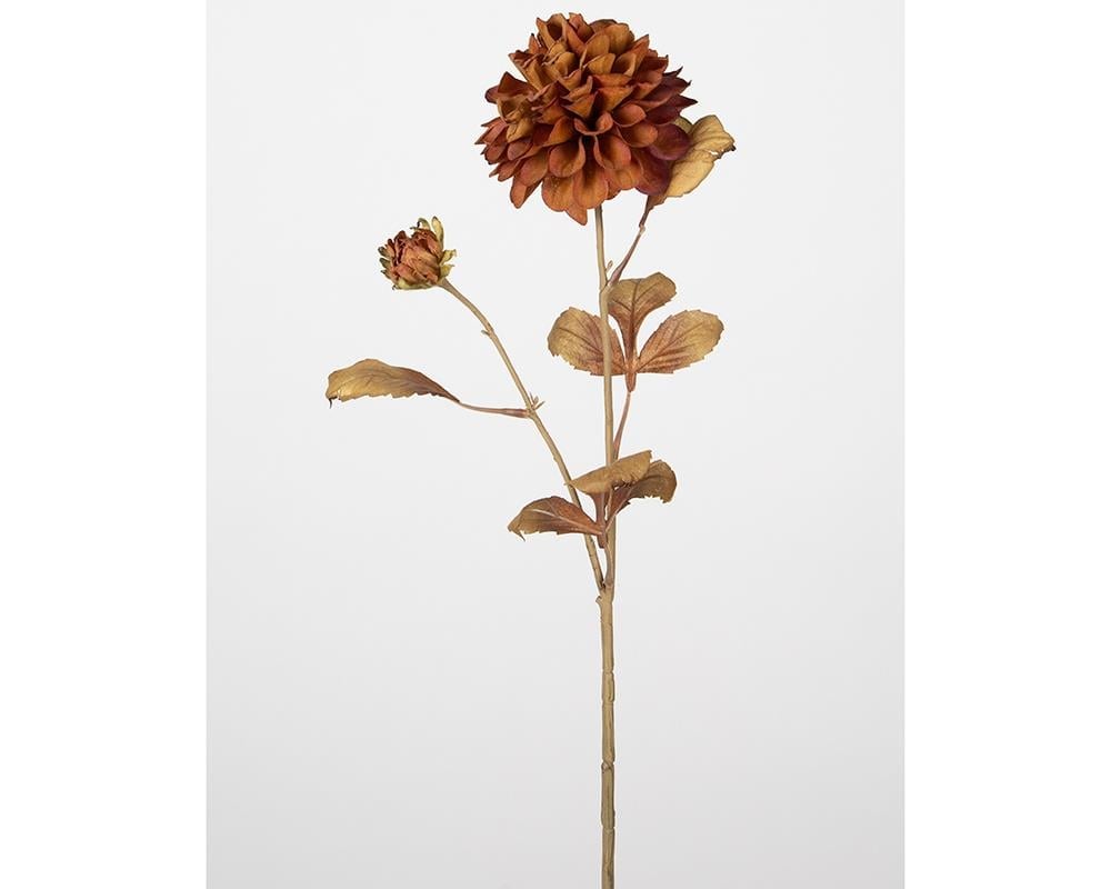 Çinpa Kasımpatı 72 Cm