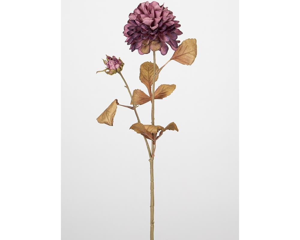 Çinpa Kasımpatı 72 Cm